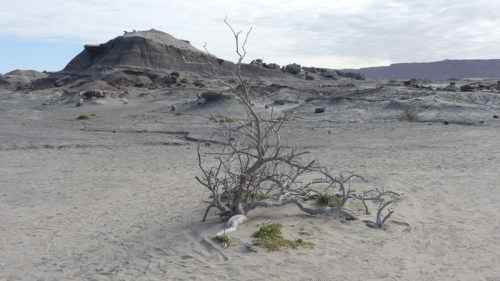 YVD image-10-June 18, 2015