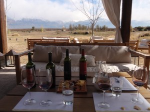 A delightful setting, with the snow covered Andes in the distance, to sample their wines