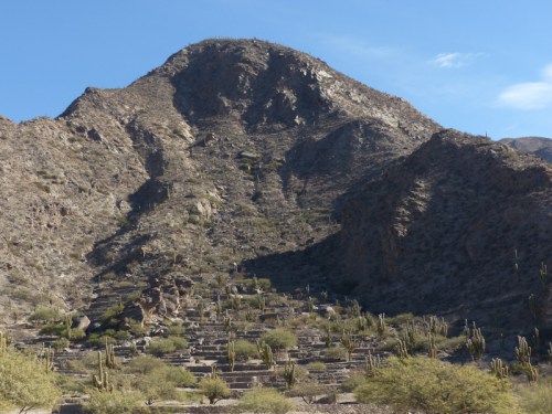 YVD image-32-June 22, 2015