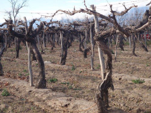 YVD image-43-June 23, 2015