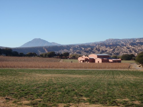 YVD image-52-June 24, 2015