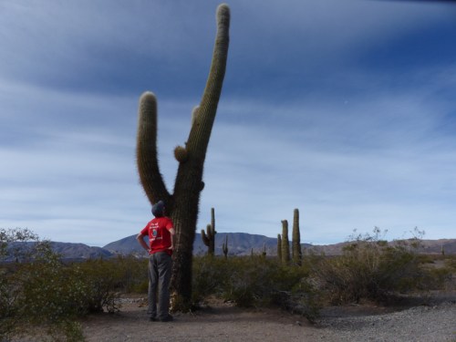 YVD image-64-June 25, 2015