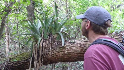 YVD image-78-June 27, 2015