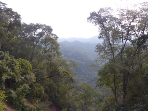 YVD image-79-June 27, 2015