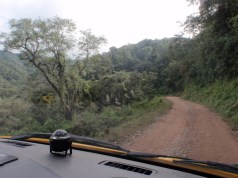 YVD image-82-June 28, 2015