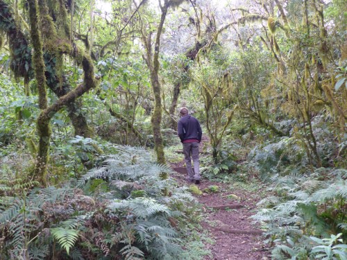 YVD image-93-June 28, 2015