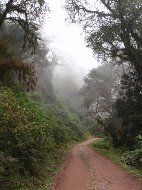 YVD image-95-June 28, 2015