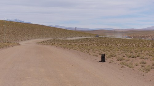 This dog apparently owns this bit of road, in the middle of nowhere!