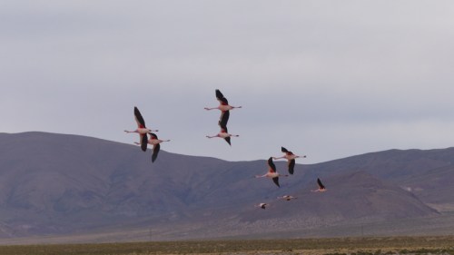 YVD image-1562-August 13, 2015