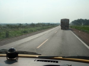 Two days driving around the edge to reach the northern entrance to the Pantanal was dominated by trucks