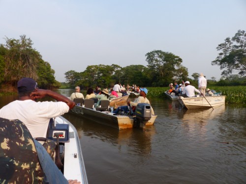 Unfortunately, it was just like a safari anywhere these days - word quickly spread when a cat was spotted and the boats gathered