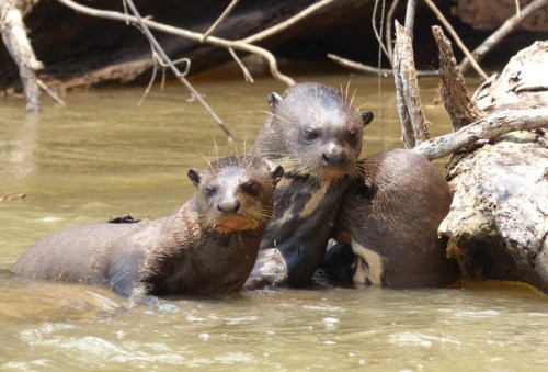 Then we sat and watched them for a little while