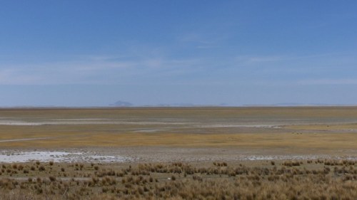 YVD blog 21 image-13-November 21, 2015