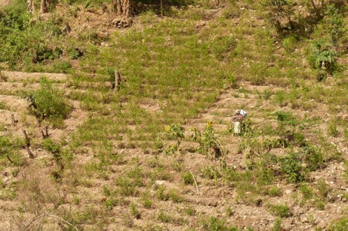 YVD blog 21 image-143-December 09, 2015