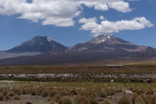 YVD blog 21 image-74-November 28, 2015