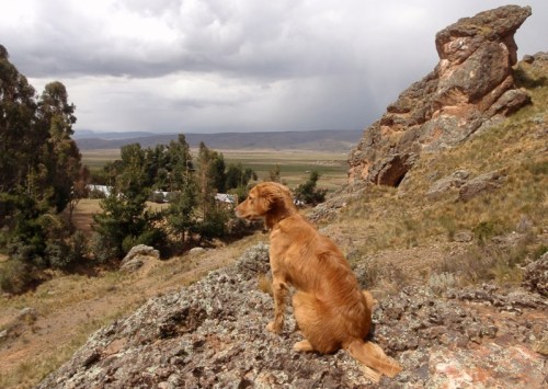 YVD blog 22 image-22-December 16, 2015