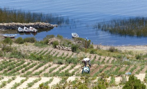 YVD blog 22 image-37-December 19, 2015