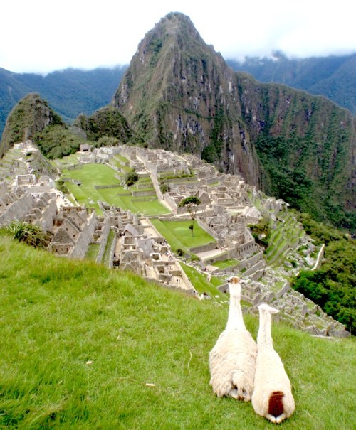 YVD blog 23&amp;24 image-171-January 10, 2016