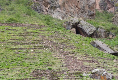 YVD blog 23&amp;24 image-178-January 12, 2016