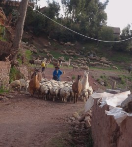 YVD blog 23&amp;24 image-202-January 14, 2016