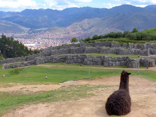 YVD blog 23&amp;24 image-21-December 27, 2015