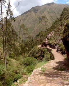 YVD blog 23&amp;24 image-54-January 02, 2016