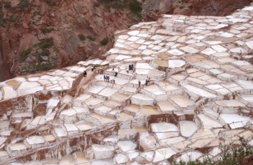 YVD blog 23&amp;24 image-72-January 04, 2016