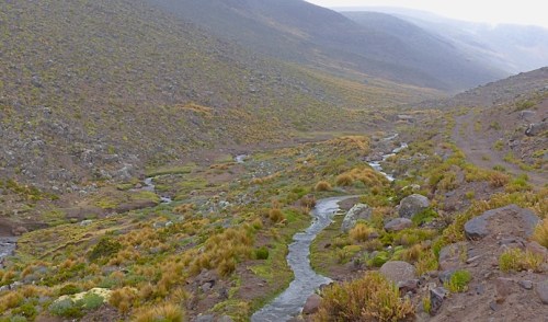 YVD blog 25 image-150-February 01, 2016