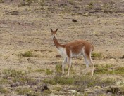 YVD blog 25 image-167-February 02, 2016