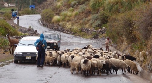 YVD blog 25 image-28-January 20, 2016