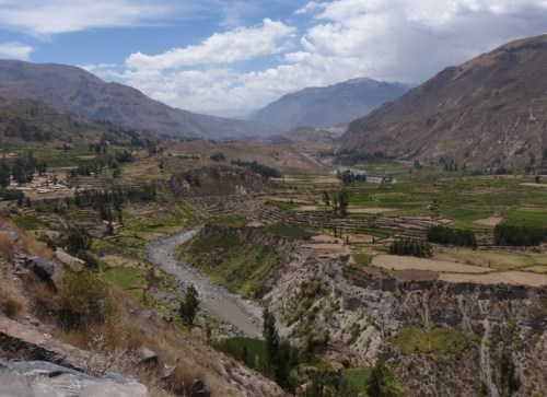 YVD blog 25 image-29-January 21, 2016