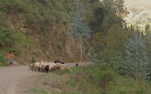 YVD blog 25 image-3-January 17, 2016