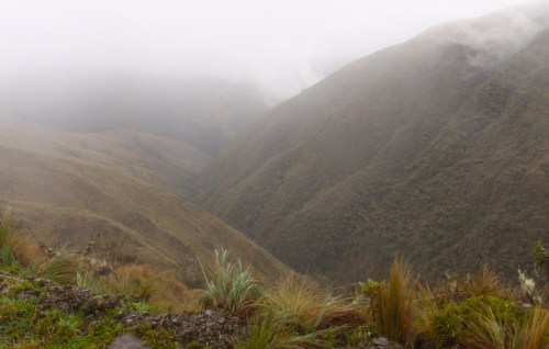 YVD blog 25 image-8-January 18, 2016