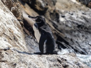 128-YVD blog 29-March 18, 2016