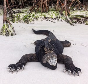 138-YVD blog 29-March 19, 2016