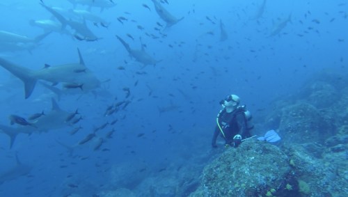 61-YVD blog 29-July 16, 2016