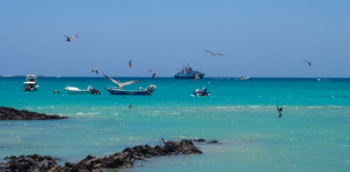 66-YVD blog 29-March 15, 2016