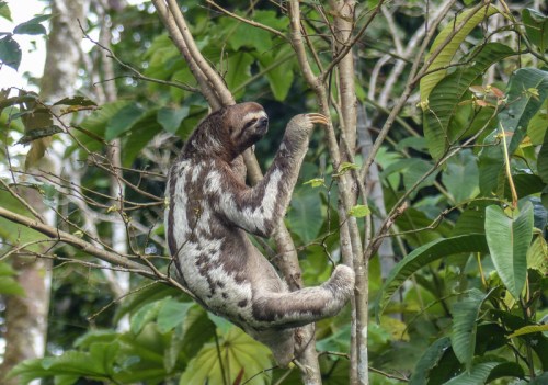 125-YVD blog 30-April 08, 2016