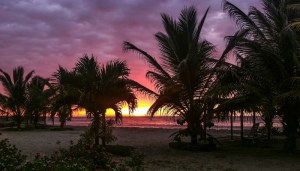 4-YVD blog 30-March 23, 2016