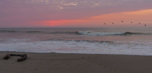 7-YVD blog 30-March 25, 2016